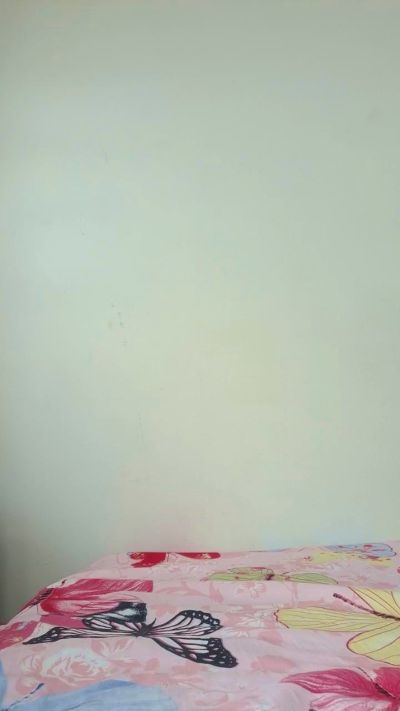 TradicionCANERA from Colombia