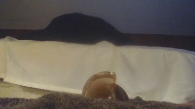 buttstufferx5 from United States